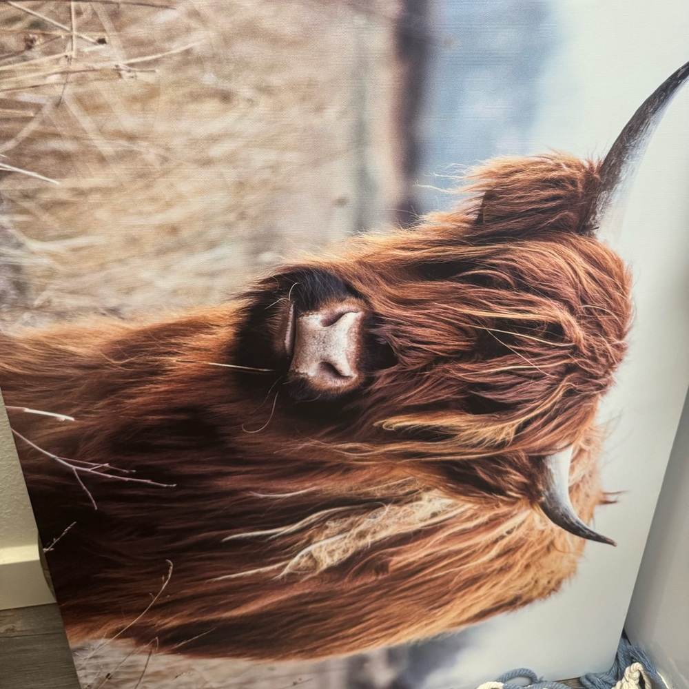 Cow Wall Art